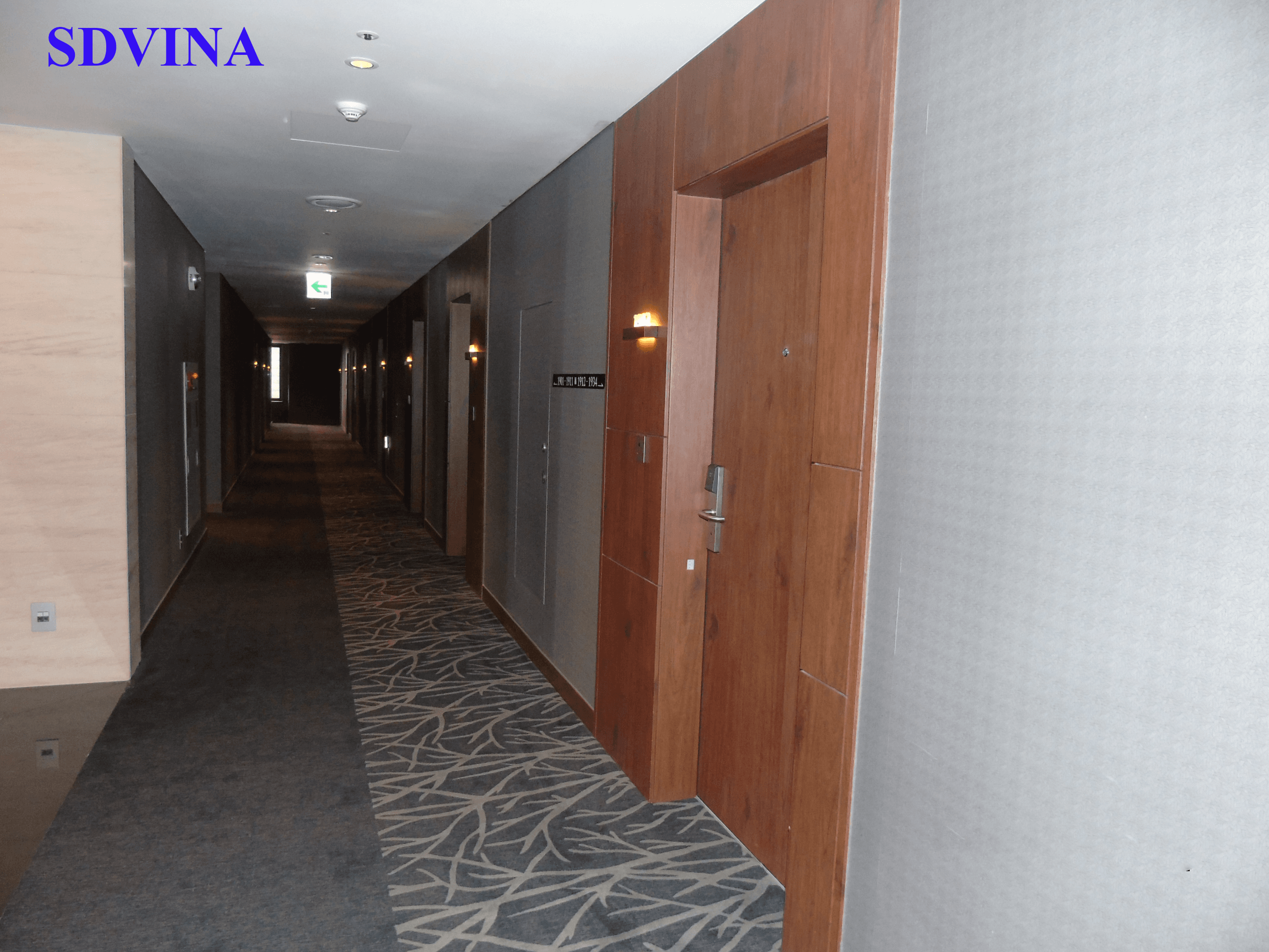 Cửa thép vân gỗ chống cháy 