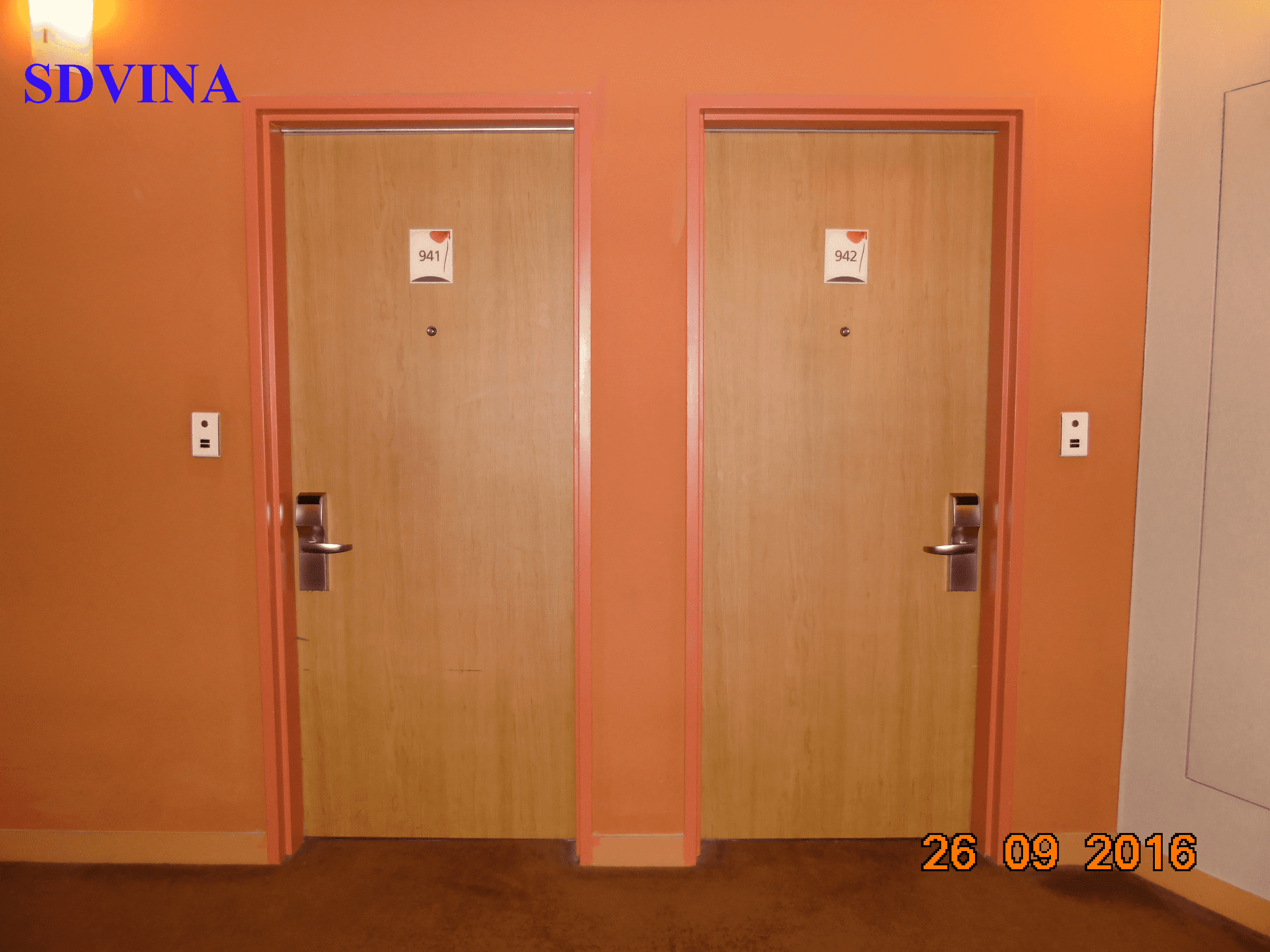 Cửa thép vân gỗ chống cháy 